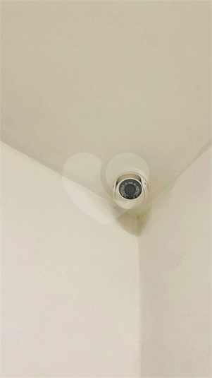 Foto REO1085943