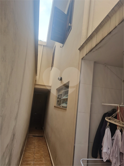 Foto REO1085945