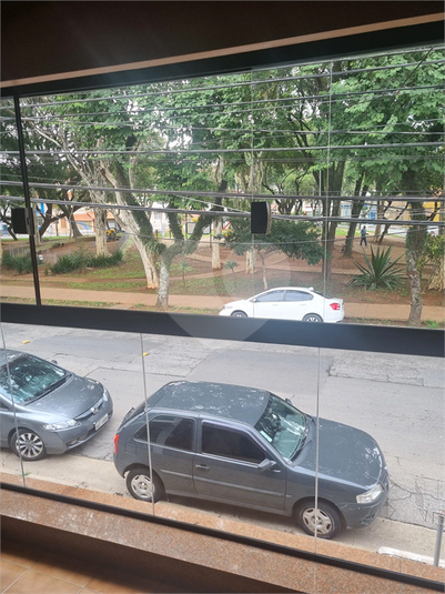Foto REO1085945