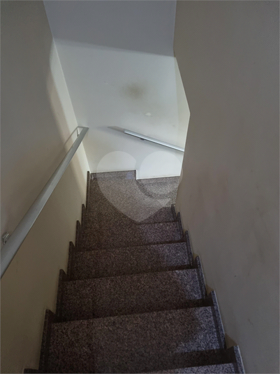 Foto REO1085945