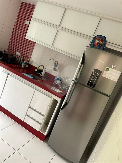 Foto REO1085947