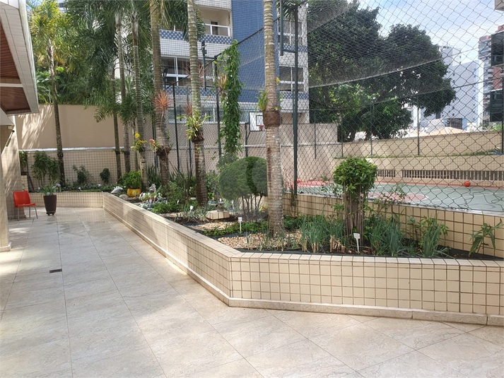 Foto REO1085949