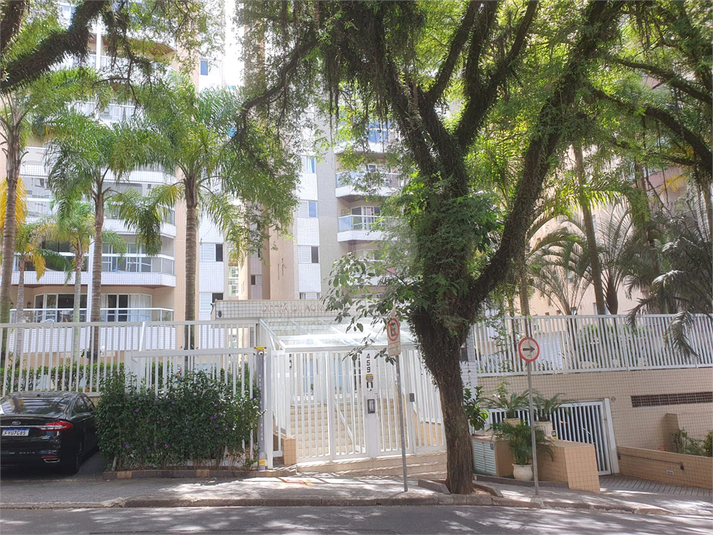 Foto REO1085949