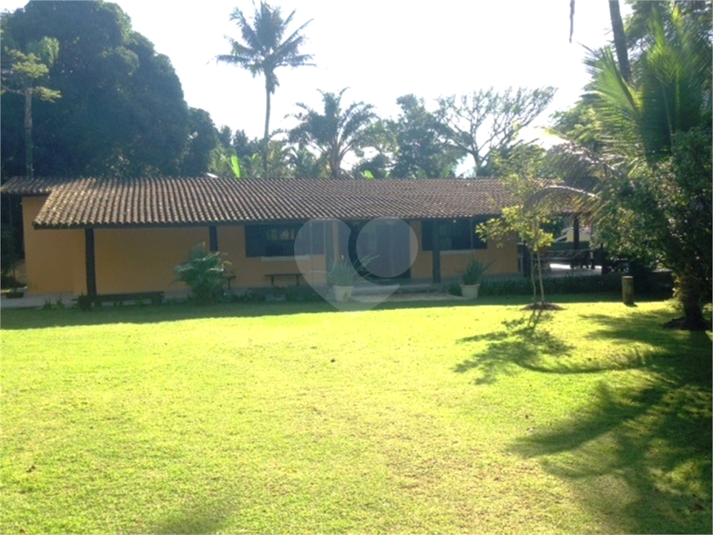 Foto REO1085958
