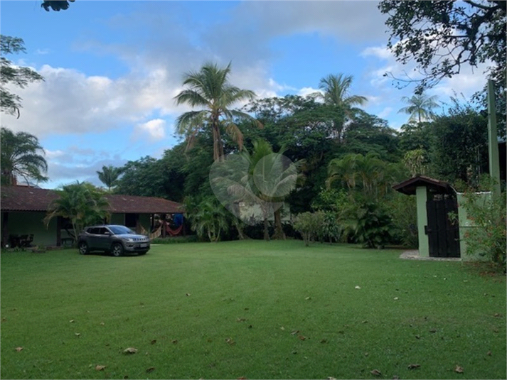 Foto REO1085958