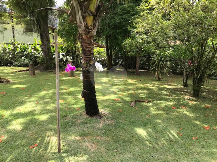 Foto REO1085958