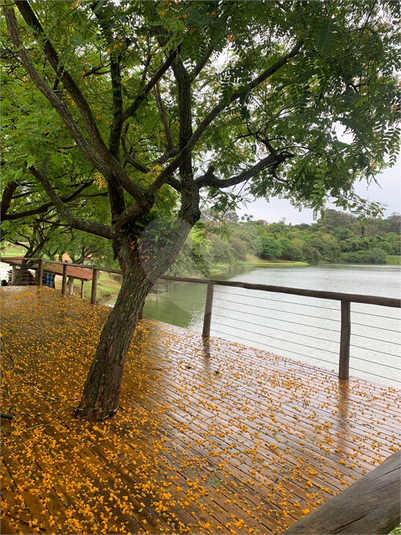 Foto REO1085962