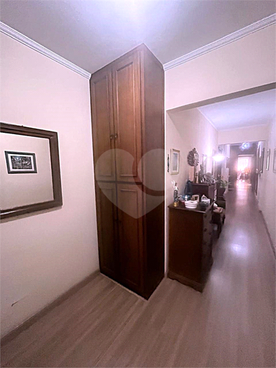 Foto REO1085966