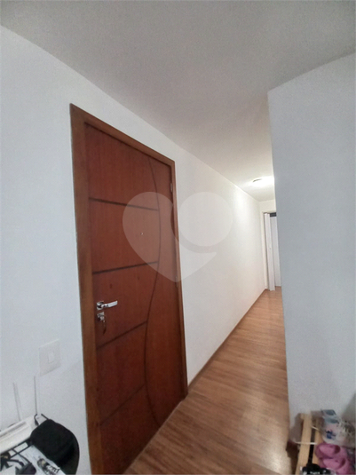 Foto REO1085982