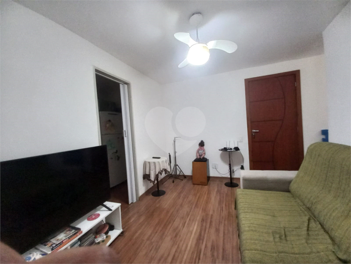 Foto REO1085982
