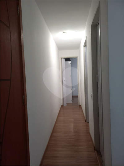 Foto REO1085982
