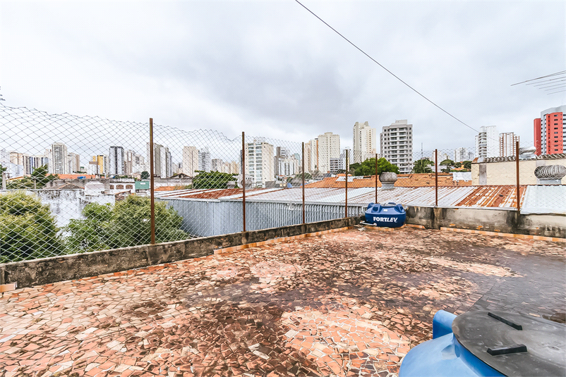 Foto REO1085986
