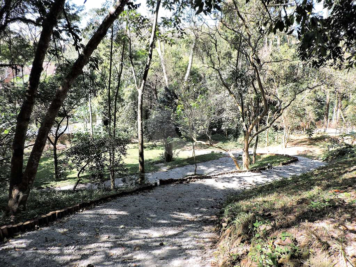 Foto REO1086043