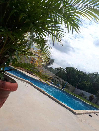 Foto REO1086045