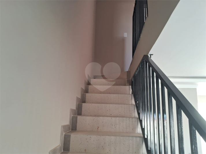 Foto REO1086048
