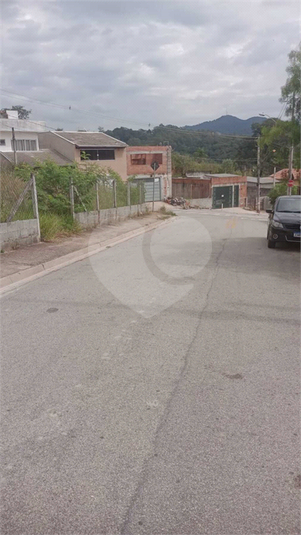 Foto REO1086049