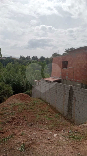 Foto REO1086049