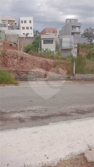 Foto REO1086049