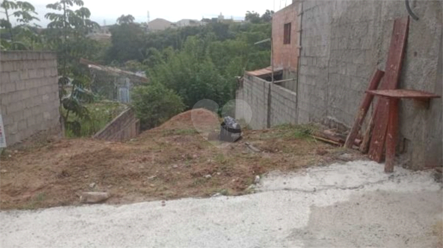 Foto REO1086049