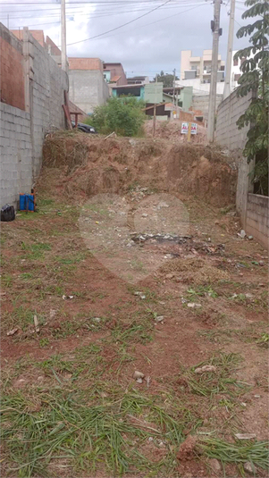Foto REO1086049