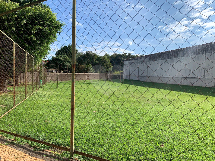 Foto REO1086063
