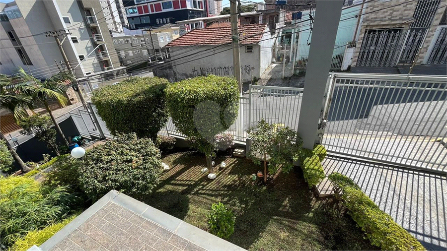 Foto REO1086079