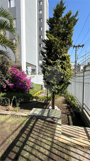 Foto REO1086079