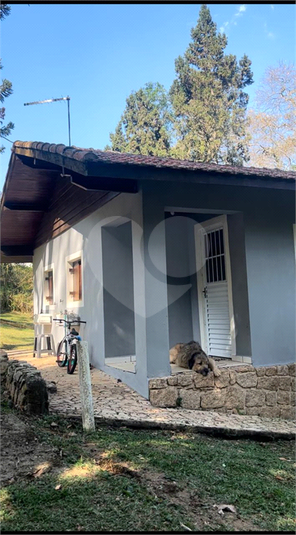 Foto REO1086081