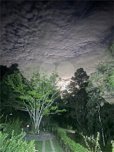 Foto REO1086081