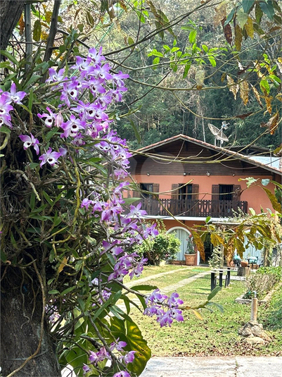 Foto REO1086081