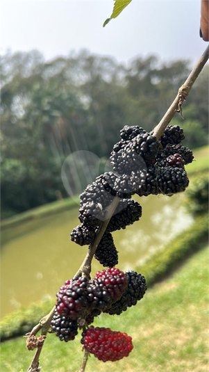 Foto REO1086081