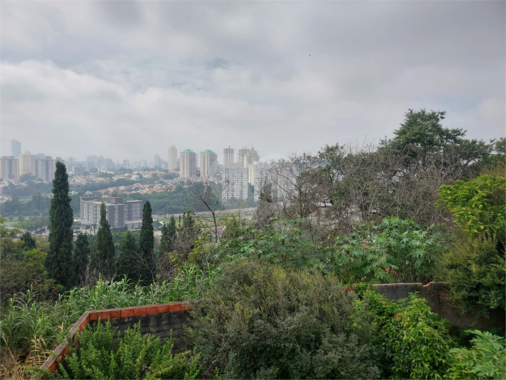 Foto REO1086084