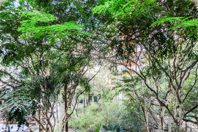 Foto REO1086090