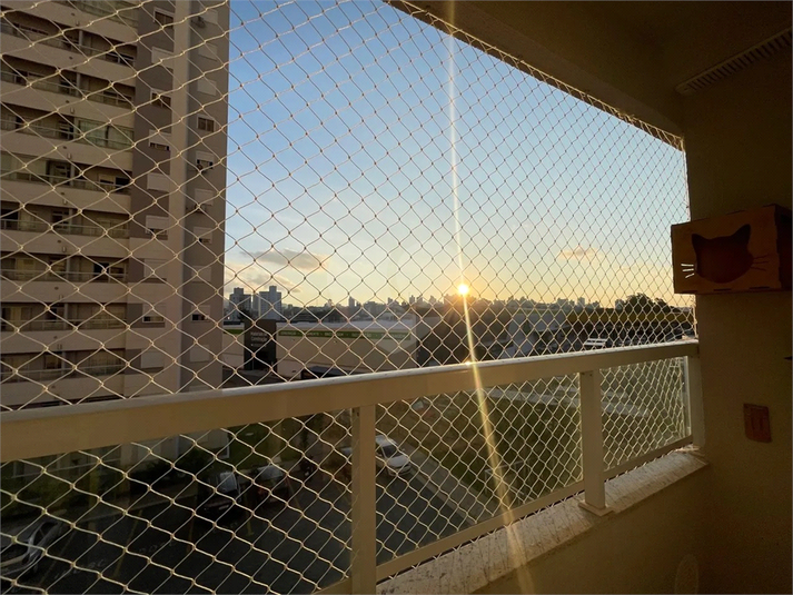Foto REO1086092