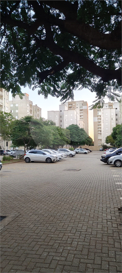 Foto REO1086097