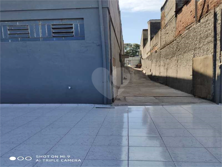 Foto REO1086107
