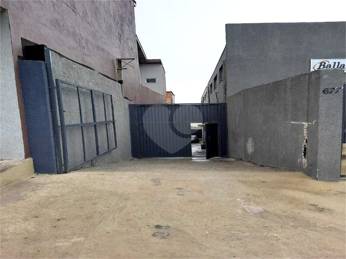Foto REO1086107