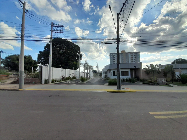 Foto REO1086119