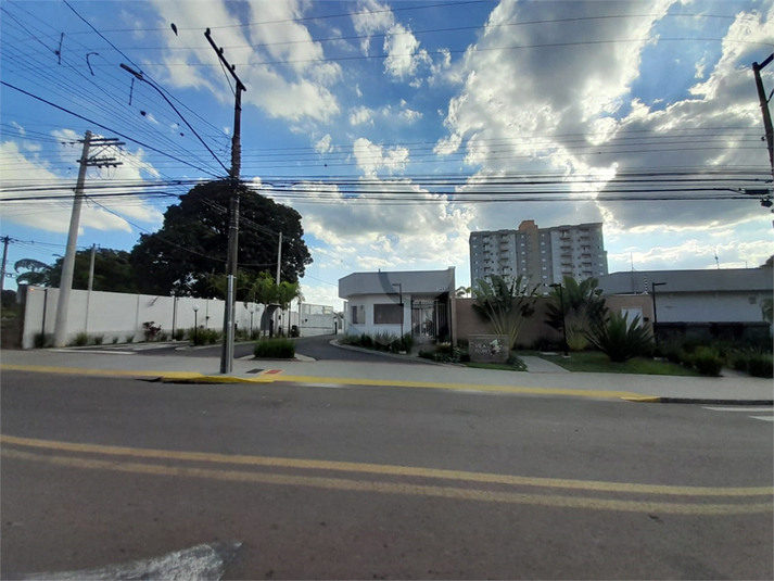 Foto REO1086119