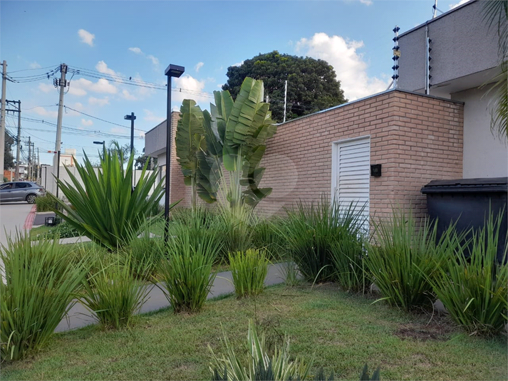 Foto REO1086119