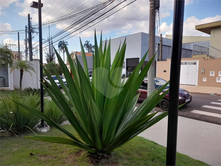 Foto REO1086119