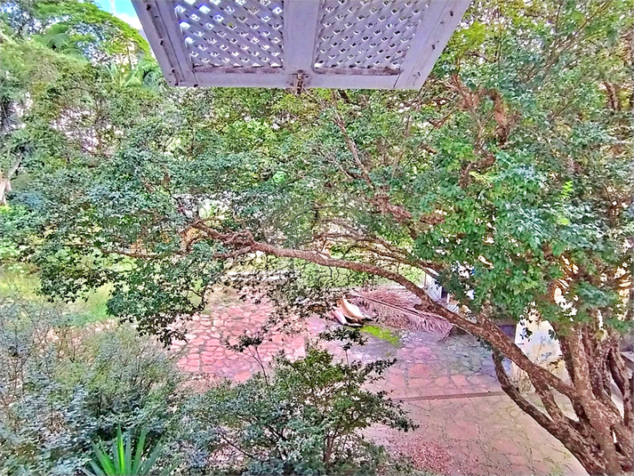 Foto REO1086130