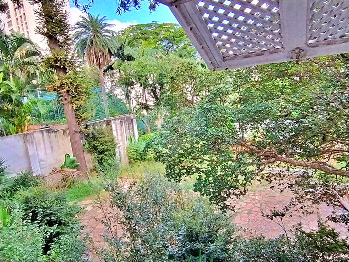 Foto REO1086130