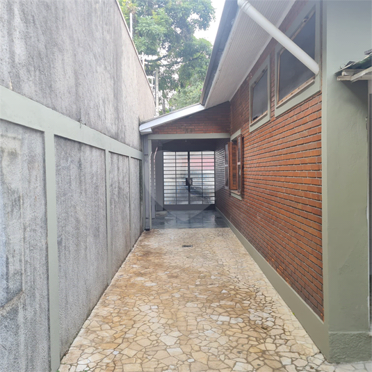 Foto REO1086132