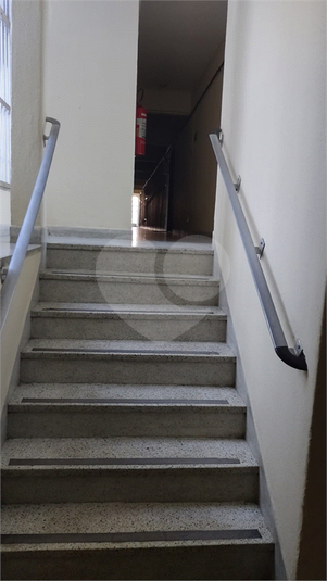 Foto REO1086147