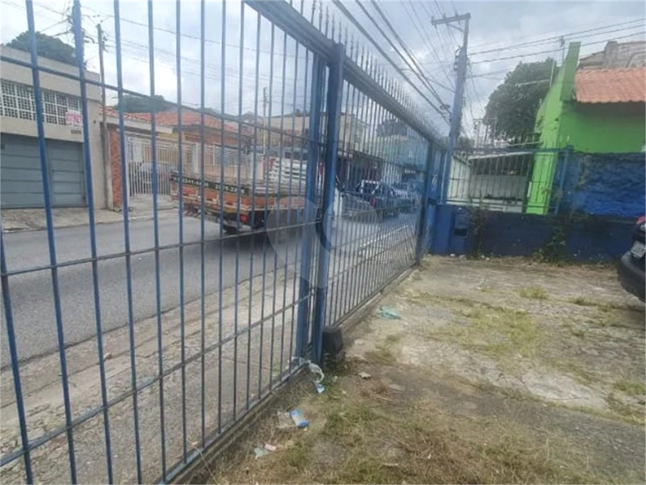 Foto REO1086172