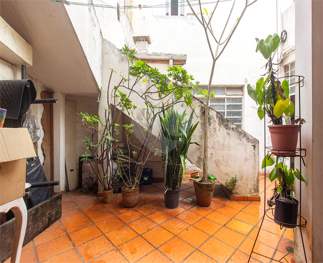 Foto REO1086174