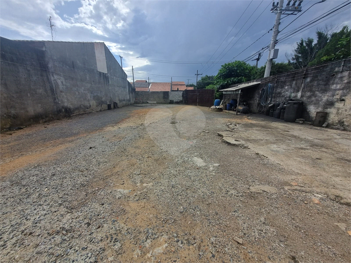 Foto REO1086175