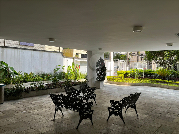 Foto REO1086185