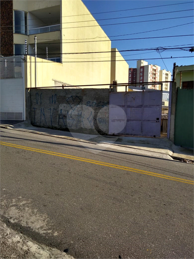 Foto REO1086191
